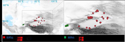 项目获取的天山东西部古人群的线粒体与核基因组分布图。 九游体育(NineGameSports)官方网站供图